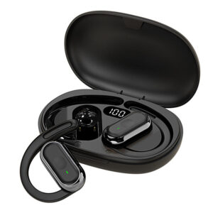 Earbuds Black Color